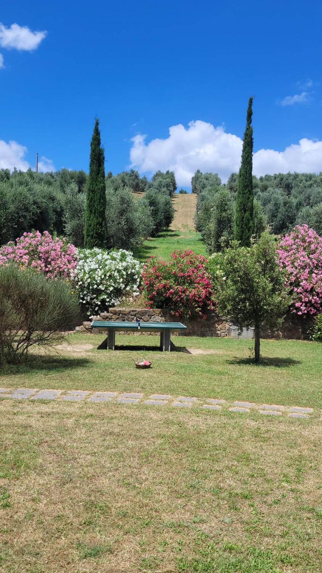 Agriturismo Podere Casalone Limite Екстер'єр фото