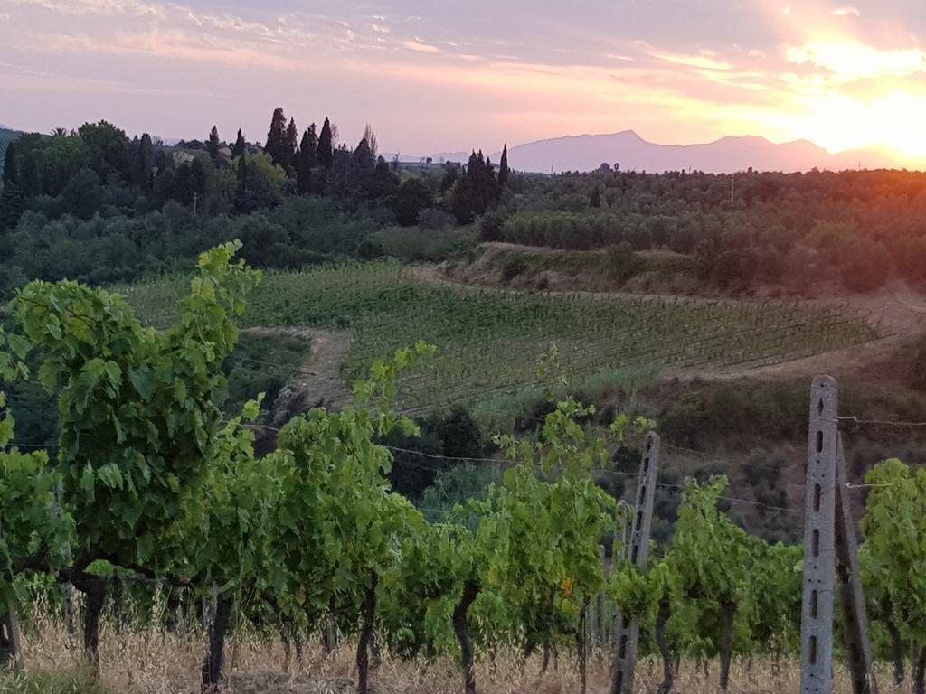 Agriturismo Podere Casalone Limite Екстер'єр фото
